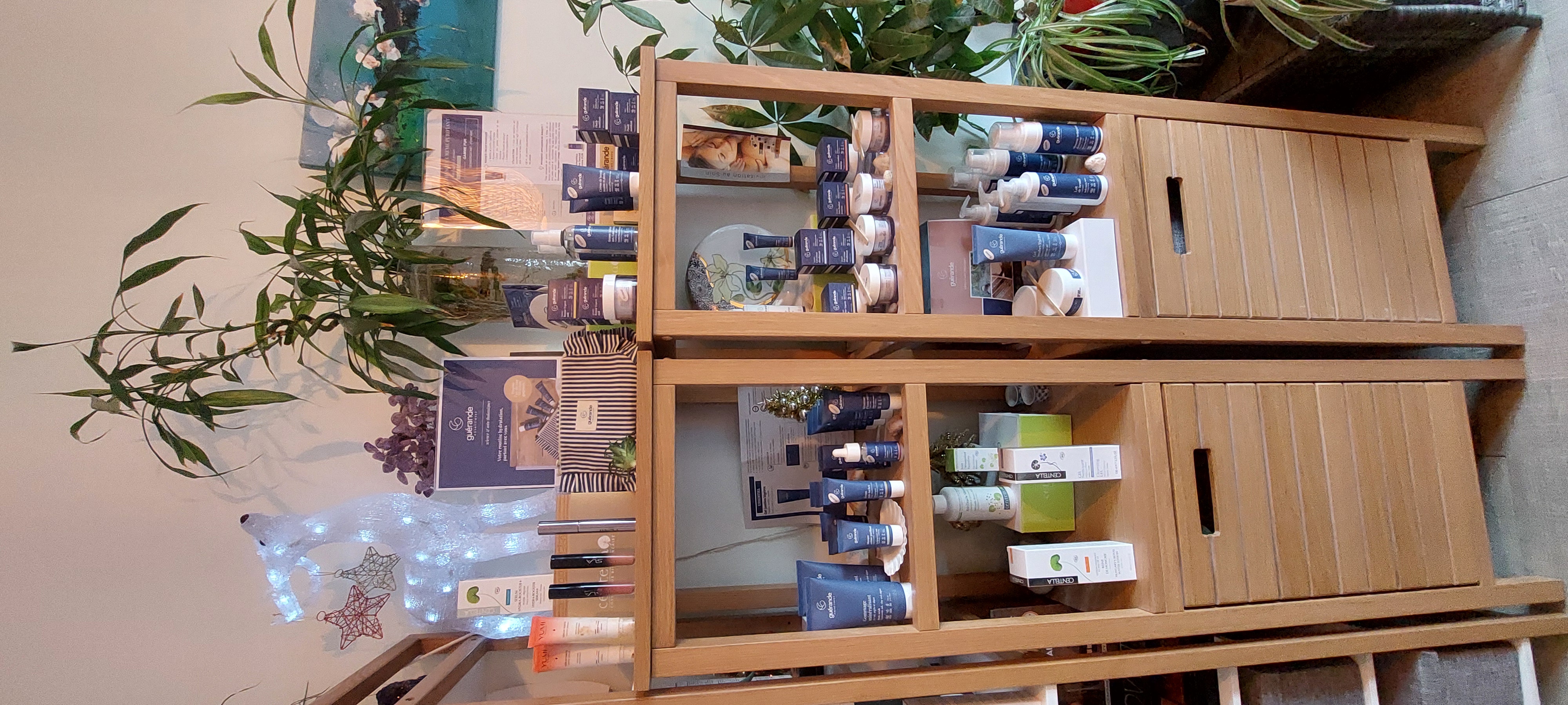 Étagère de produits et de coffrets à offrir, à côté d’une plante